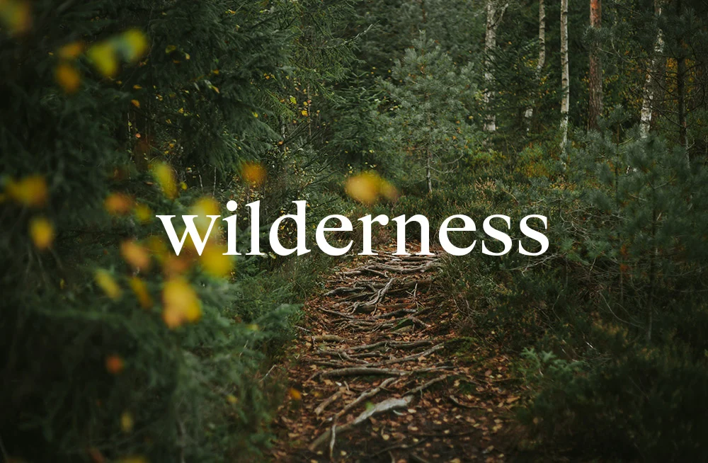 The Wilderness