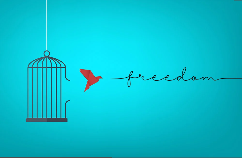 the-freedom-of-contentment