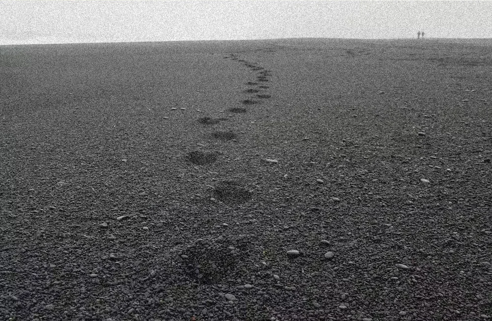 the-offensively-ordinary-steps-of-following-god