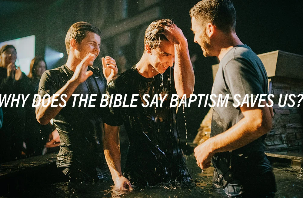 why-does-the-bible-say