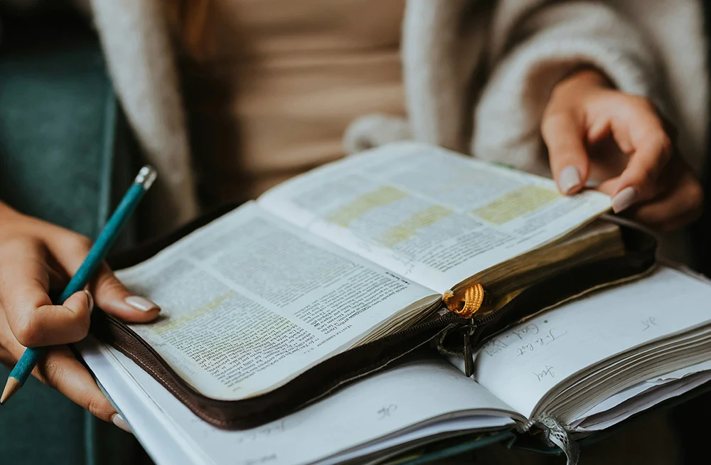 Lifeway: Bible Studies