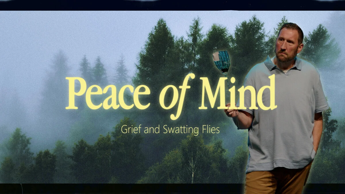 Grief and Swatting Flies