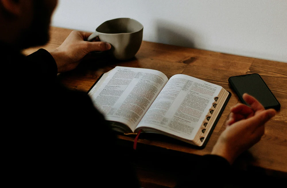 Explore BibleProject Resources